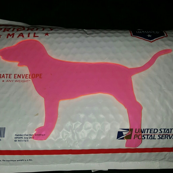 Vs Pink plexiglass dog - Picture 2 of 3